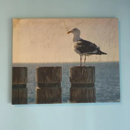 Sandra Apartamento Lopar