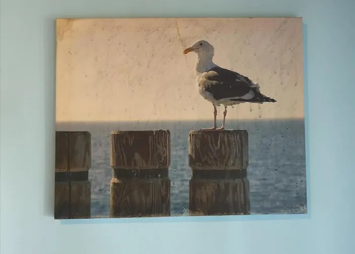 Apartments Sandra Lägenhet Lopar